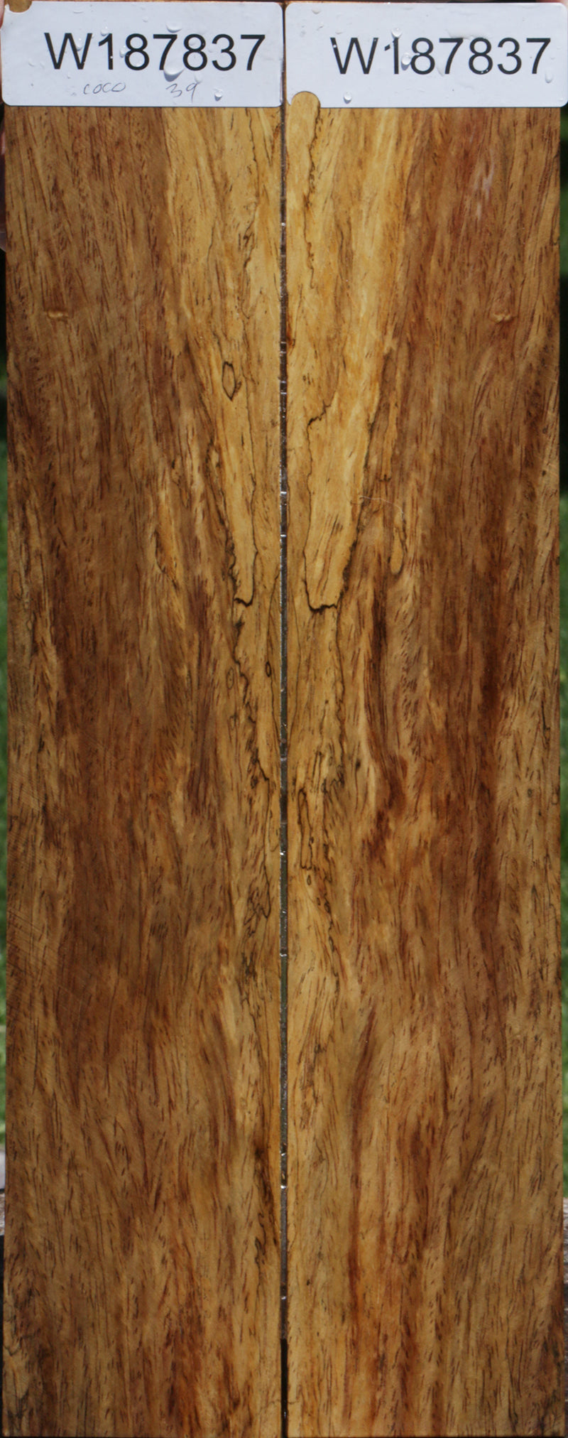 Cocobolo Sapwood Knife Scales