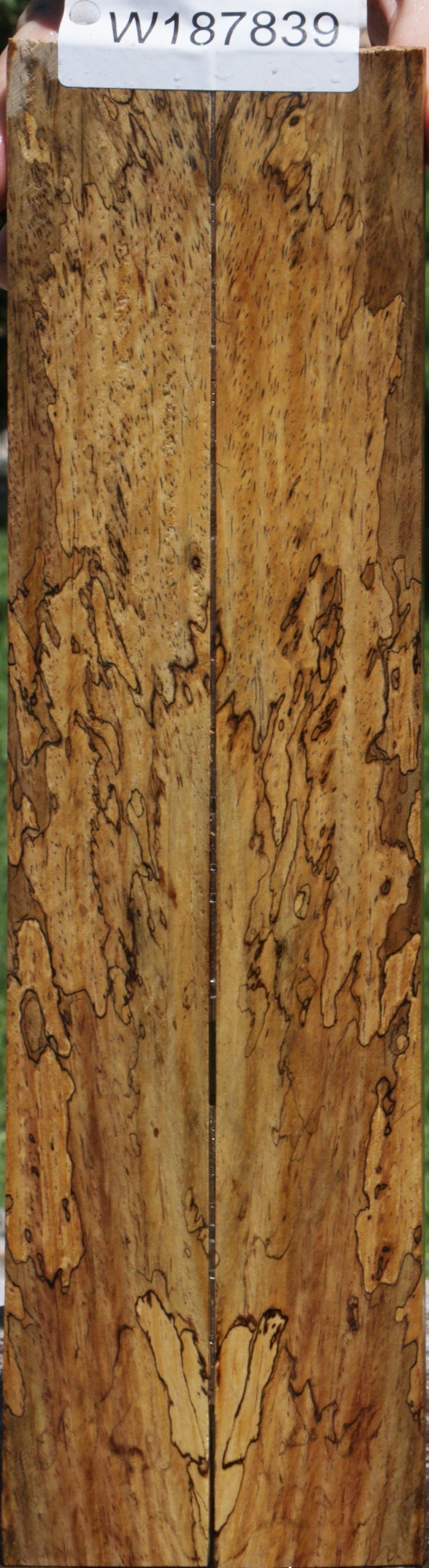 Spalted Cocobolo Knife Scales