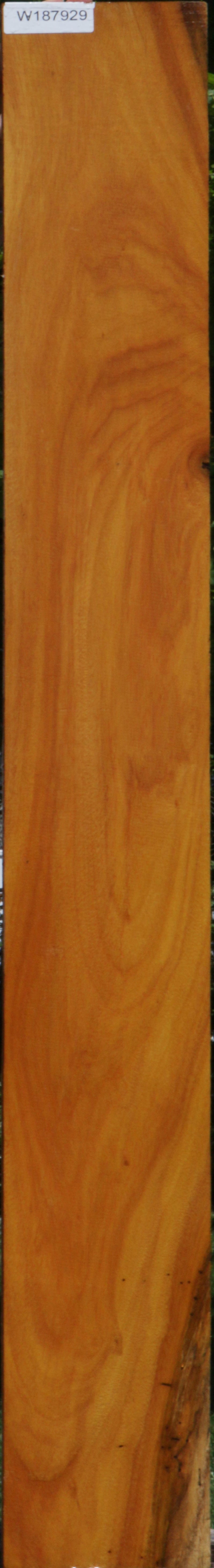 Argentine Osage Orange Lumber