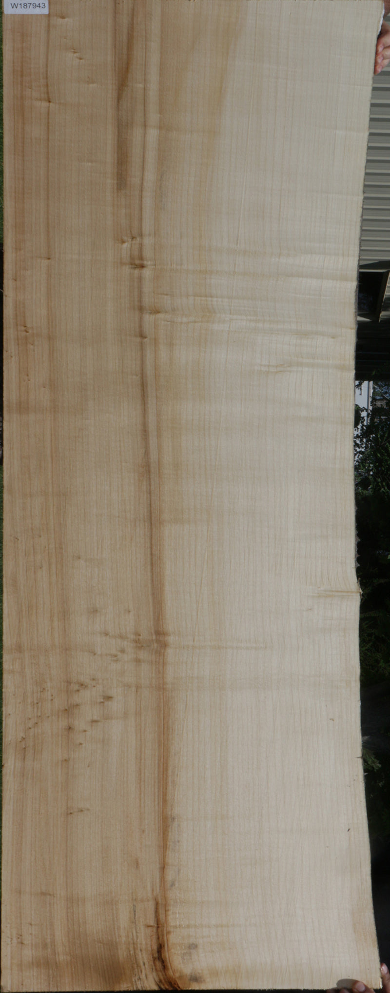 Black Cottonwood Live Edge Lumber