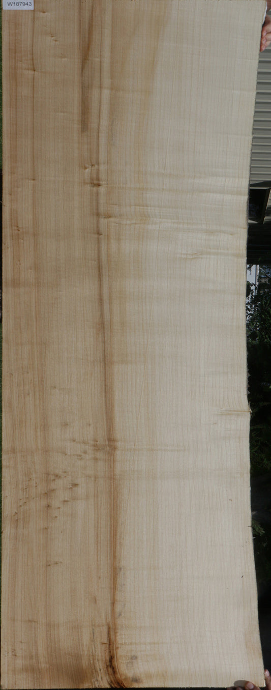 Black Cottonwood Live Edge Lumber