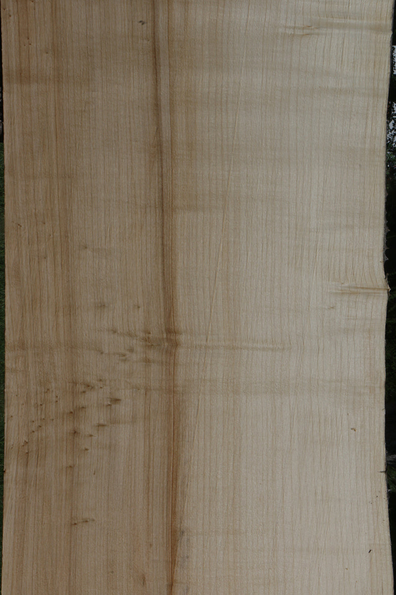 Black Cottonwood Live Edge Lumber