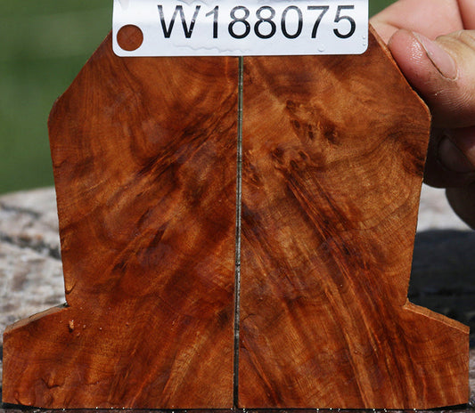 Extra Fancy Thuya Burl Knife Scales