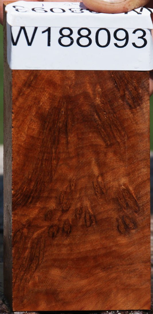 Thuya Burl Lumber