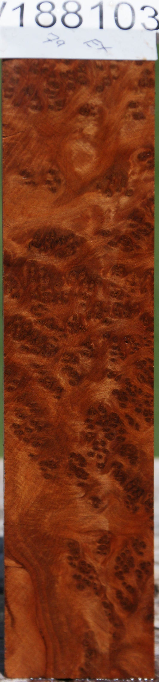 Exhibition Thuya Burl Lumber