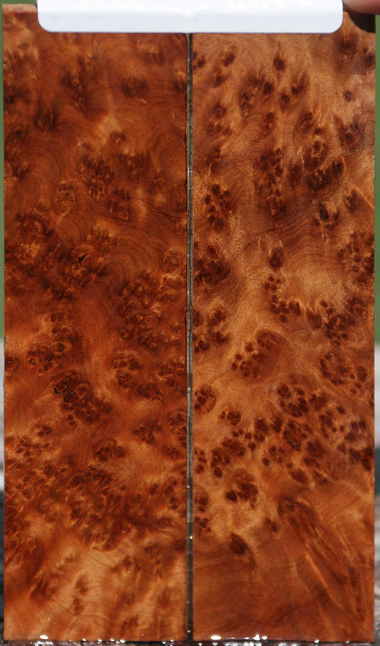 Exhibition Thuya Burl Knife Scales