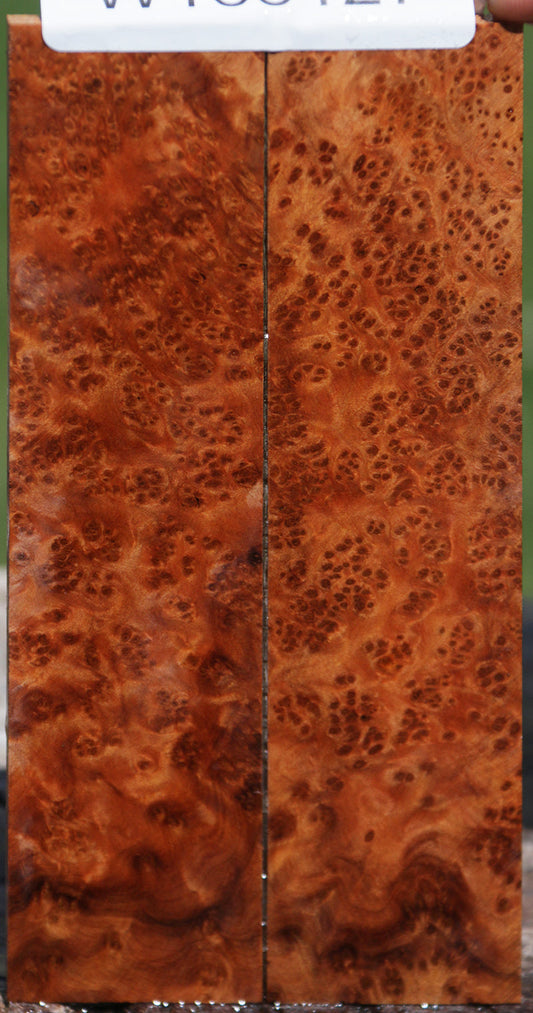 Exhibition Thuya Burl Knife Scales