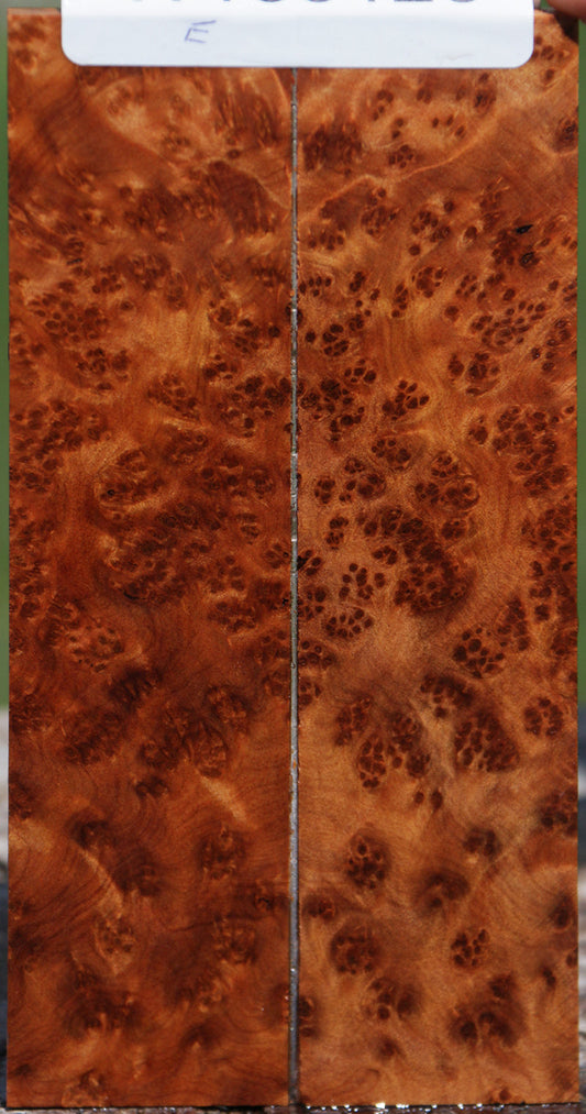 Exhibition Thuya Burl Knife Scales