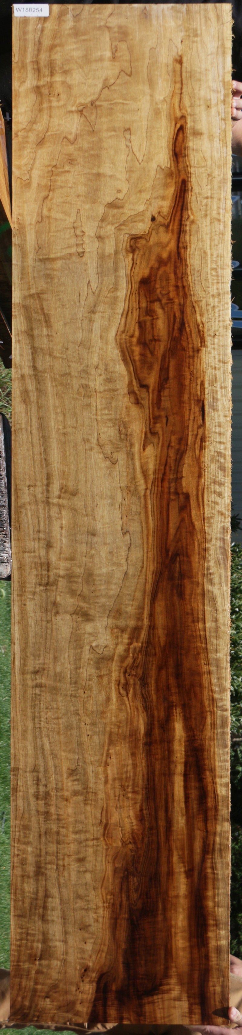 Extra Fancy Fiddleback French Poplar Lumber (Free Shipping Excluded)