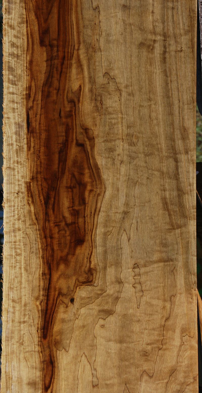 Extra Fancy Fiddleback French Poplar Lumber (Free Shipping Excluded)