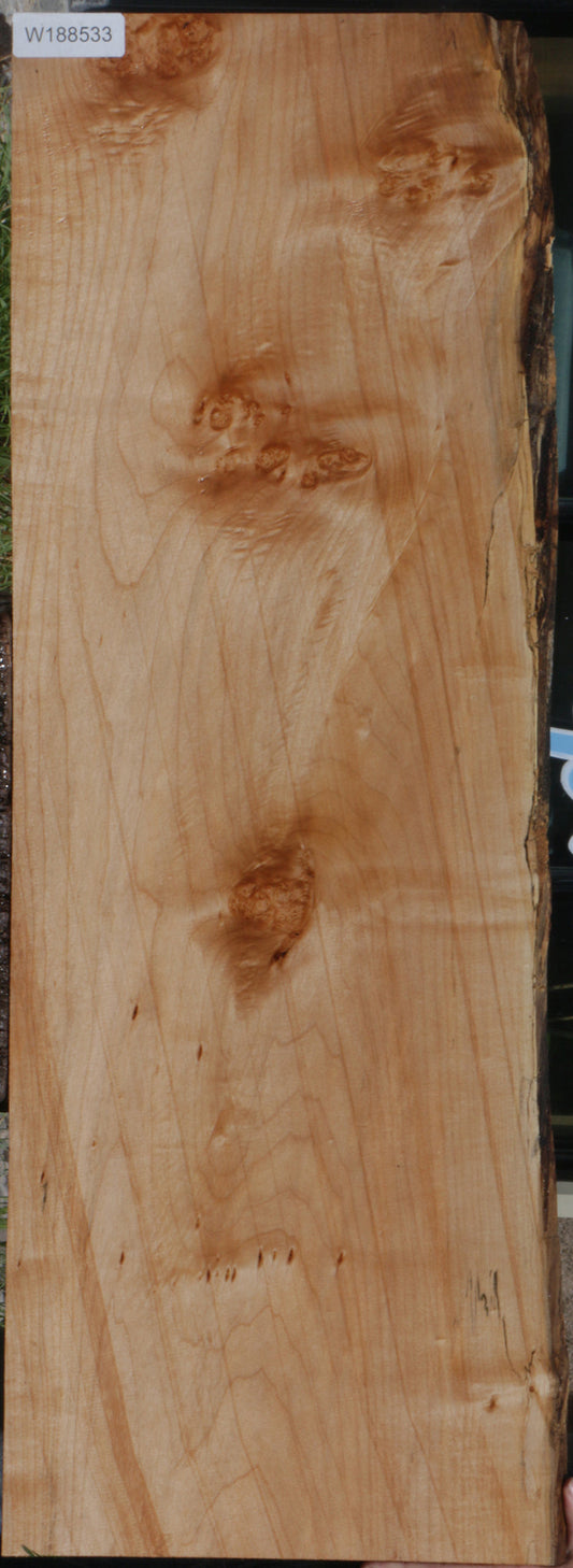 Maple Burl Live Edge Lumber