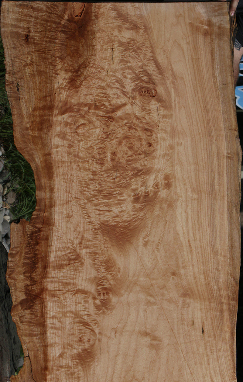 Quilted Maple Burl Live Edge Slab (Free Shipping Excluded)