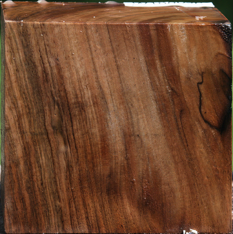 English Walnut Bowl Blank