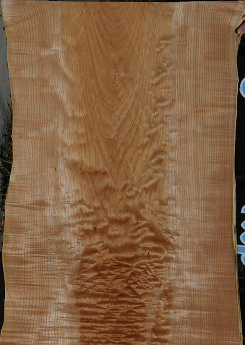 Extra Fancy Maple Live Edge Slab (Free Shipping Excluded)