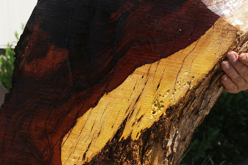 Rustic Desert Ironwood Live Edge Lumber (Free Shipping Excluded)