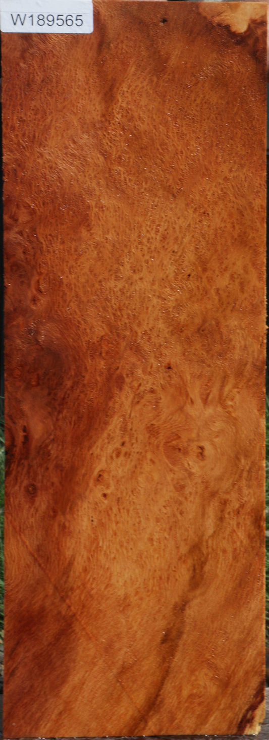 Redwood Burl Instrument Lumber