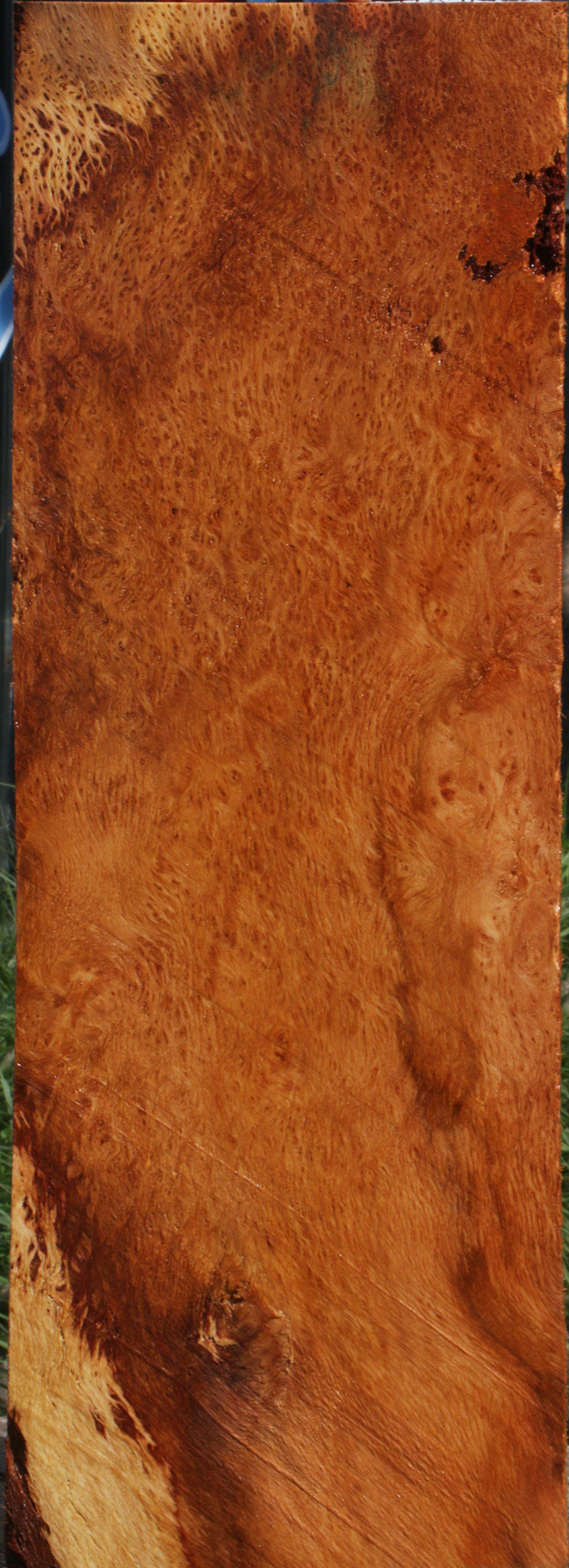 Redwood Burl Instrument Lumber