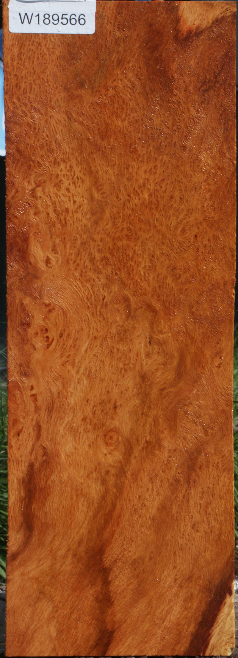 Redwood Burl Instrument Lumber
