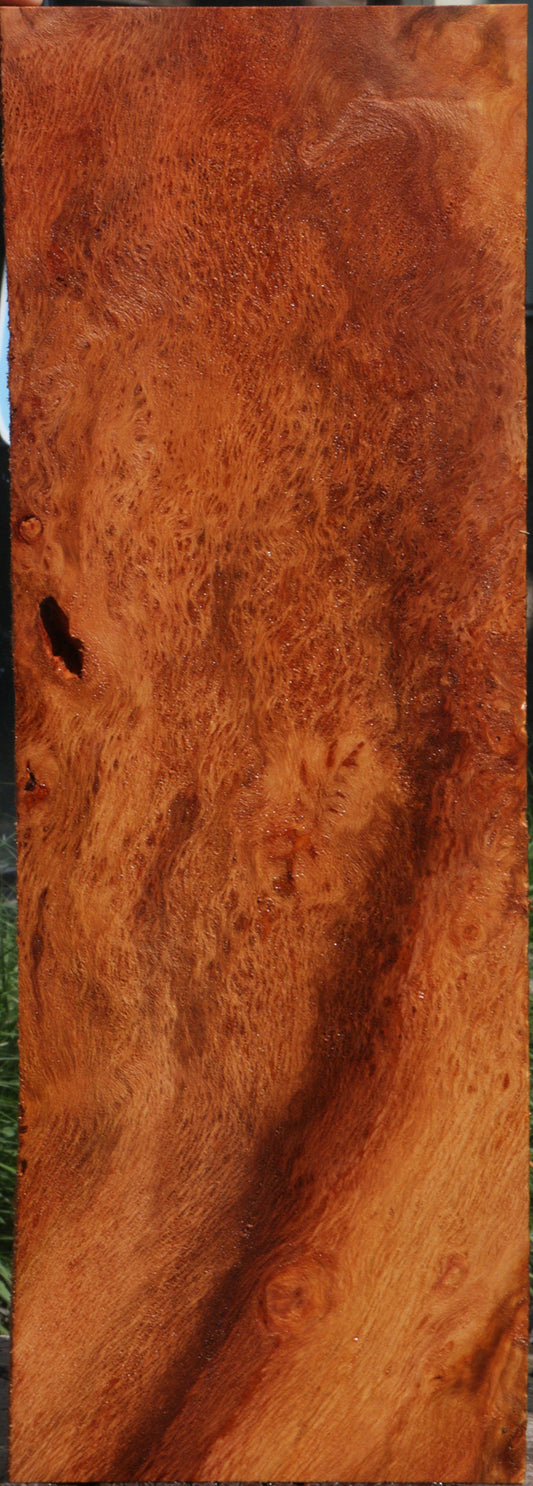 Redwood Burl Instrument Billet