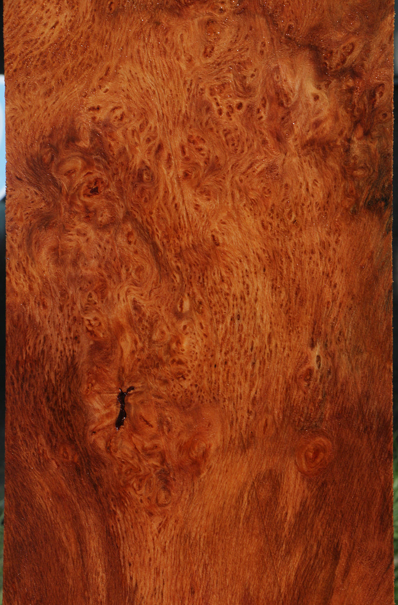 Redwood Burl Instrument Lumber – Cook Woods