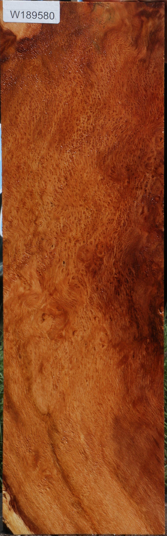 Redwood Burl Instrument Lumber