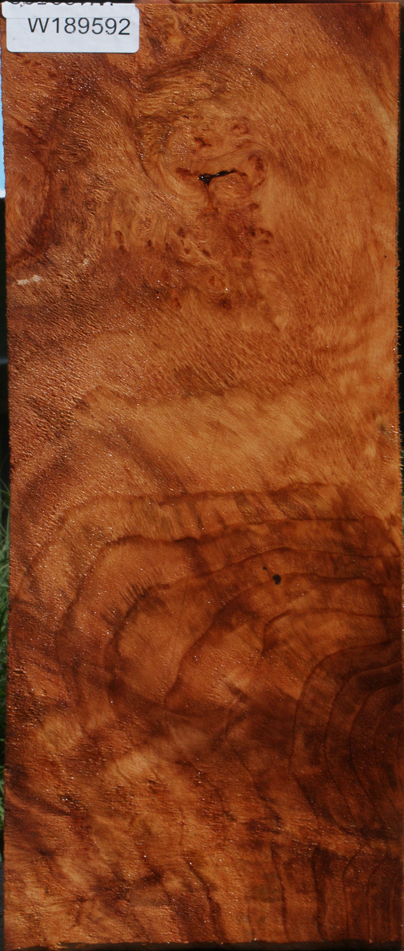 Redwood Burl Instrument Billet