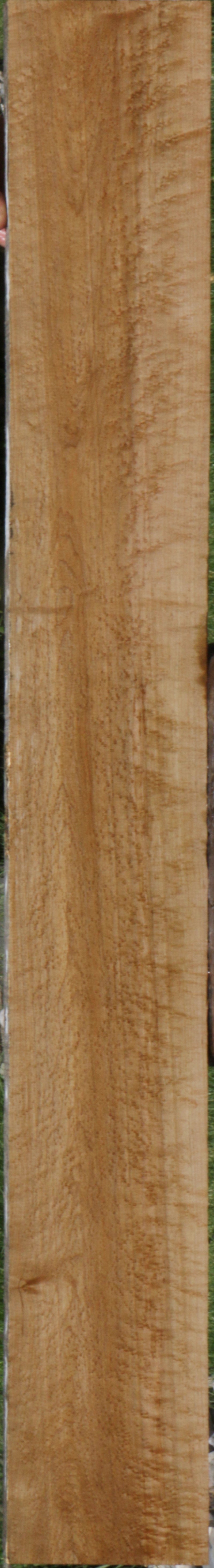 Exhibition Birdseye Maple Lumber