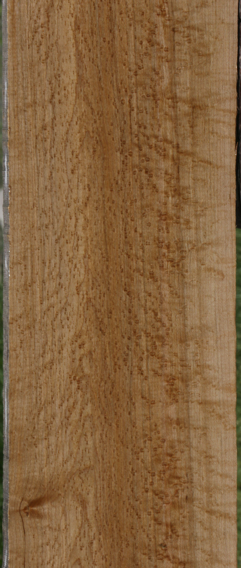 Exhibition Birdseye Maple Lumber