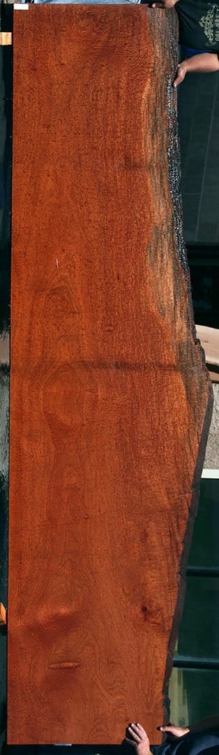 XF Figured Pomelle Sapele Slab