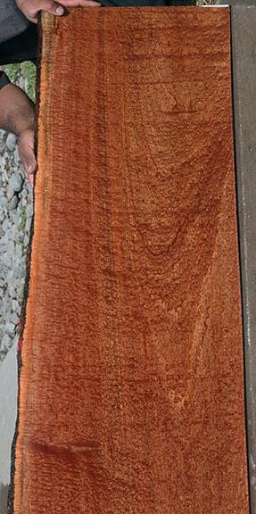 XF Figured Pomelle Sapele Slab