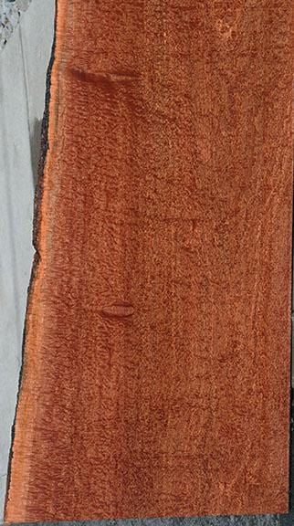 XF Figured Pomelle Sapele Slab
