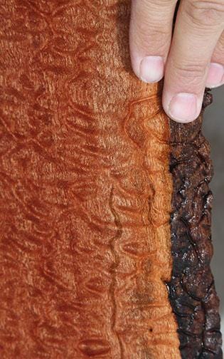 XF Figured Pomelle Sapele Slab