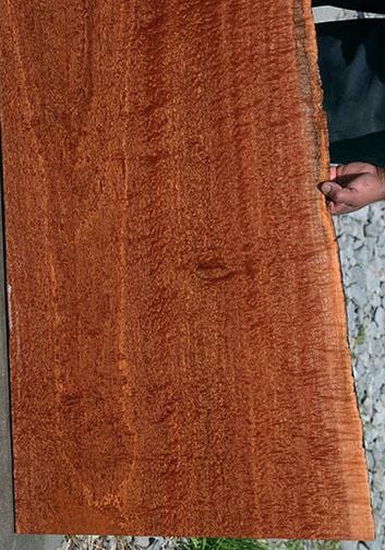 XF Figured Pomelle Sapele Slab