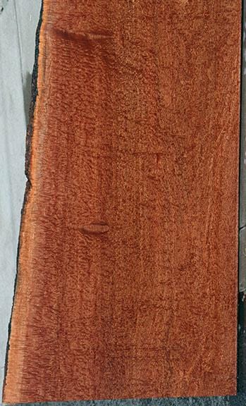 XF Figured Pomelle Sapele Slab