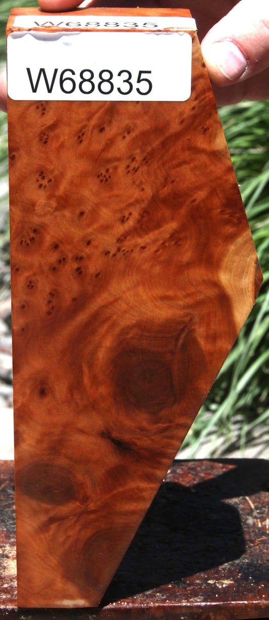 Thuya Burl Lumber