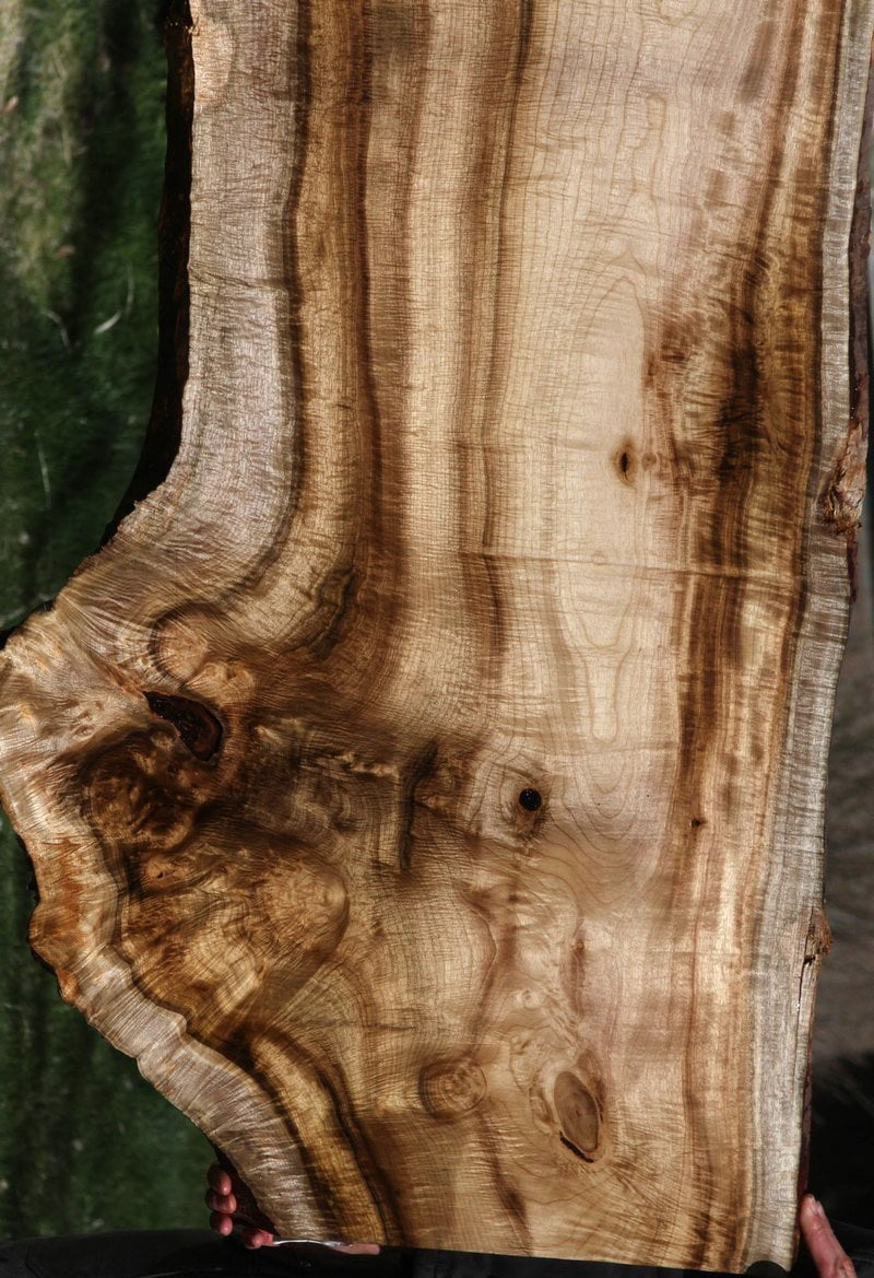 Exhibition Fiddleback  Myrtle Lumber