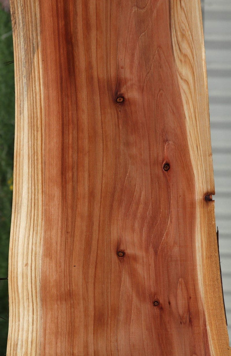 Redbud Slab Redwood Slab – Cook Woods