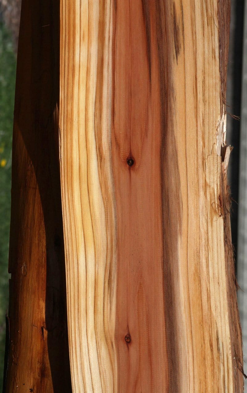 Redwood Slab
