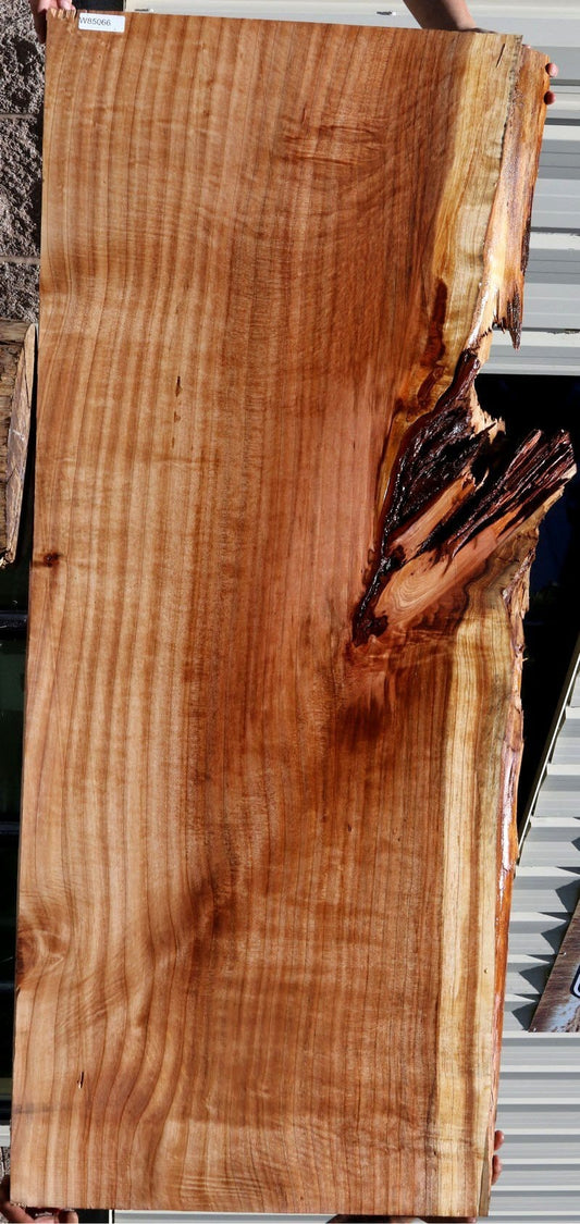 Redwood Slab