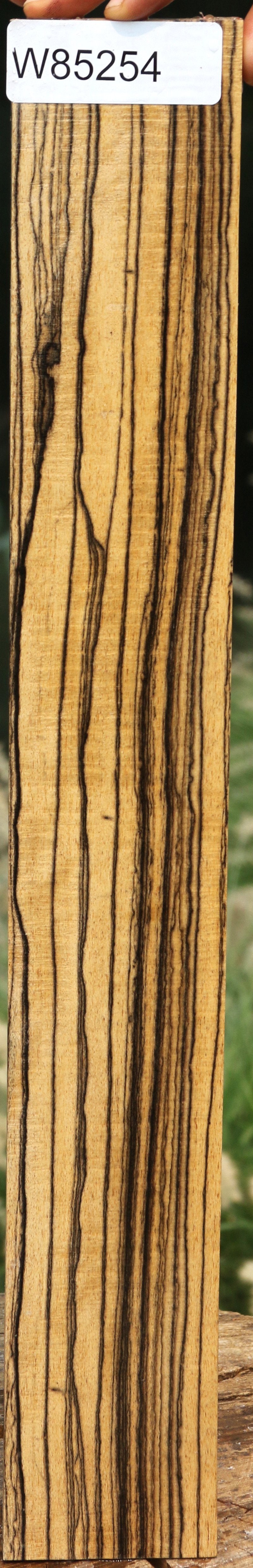 Black and White Ebony Fingerboard