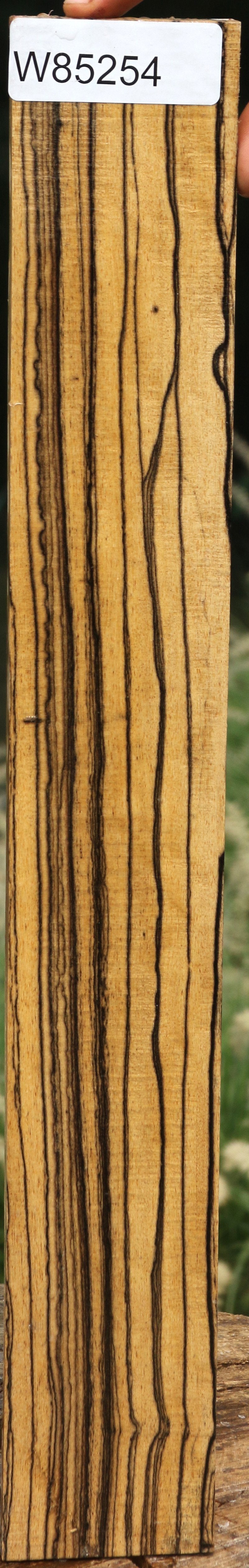 Black and White Ebony Fingerboard