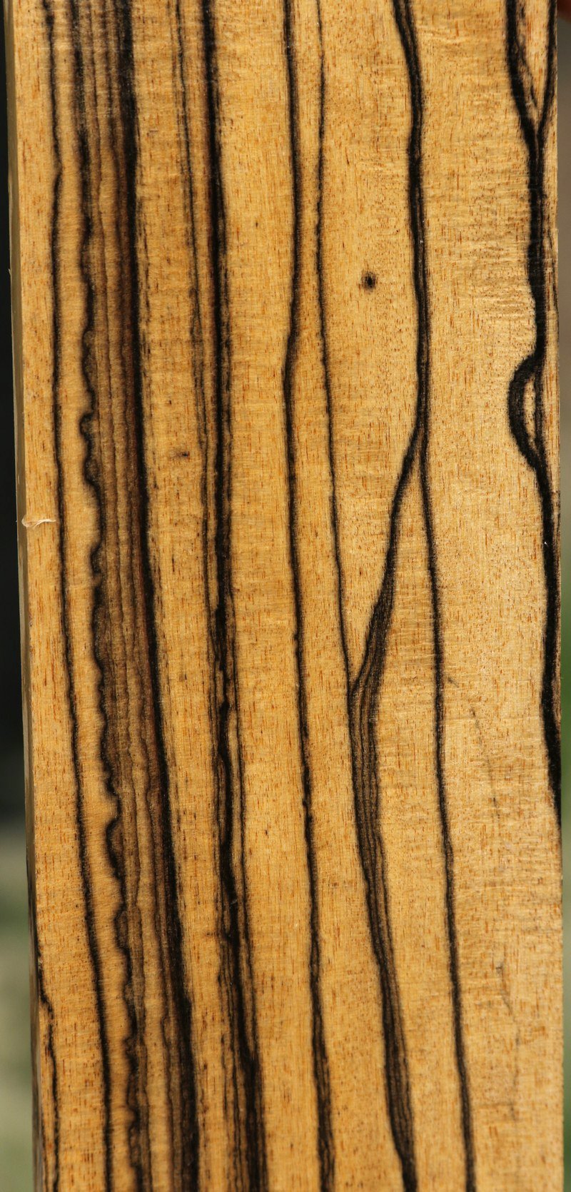 Black and White Ebony Fingerboard
