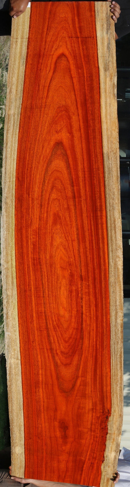 Figured Padauk Slab