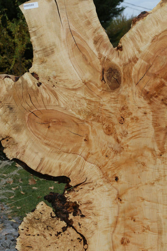 Rustic Flamed Silver Maple Slab