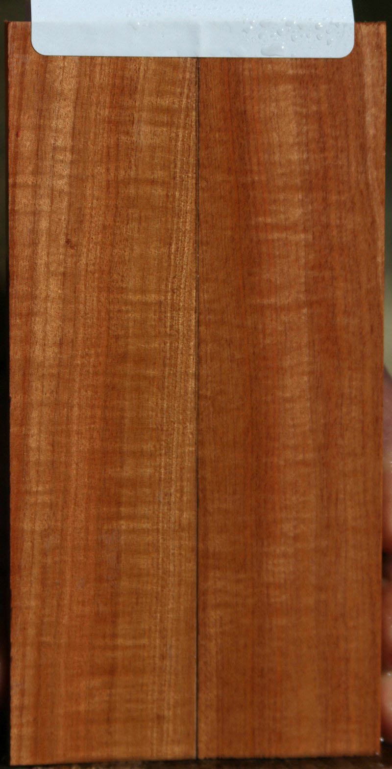 Curly Pink Ivory Knife Scales