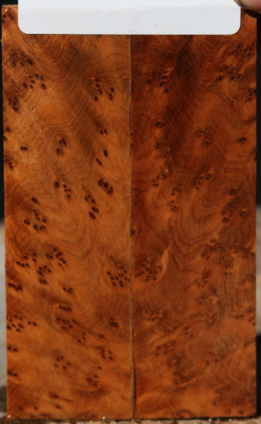 Thuya Burl Knife Scales