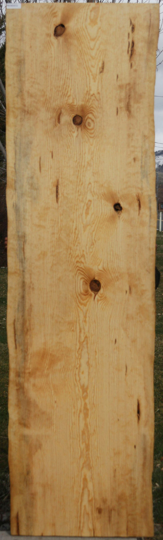 Rustic Quilted Ponderosa Pine Slab
