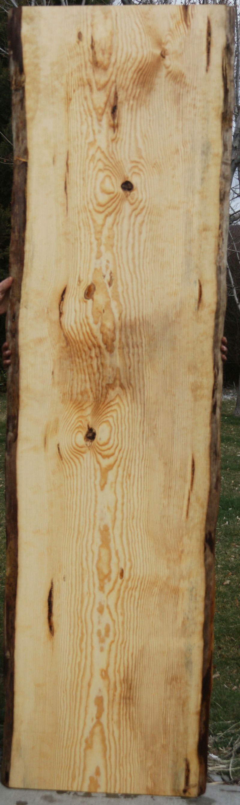 Rustic Quilted Ponderosa Pine Slab