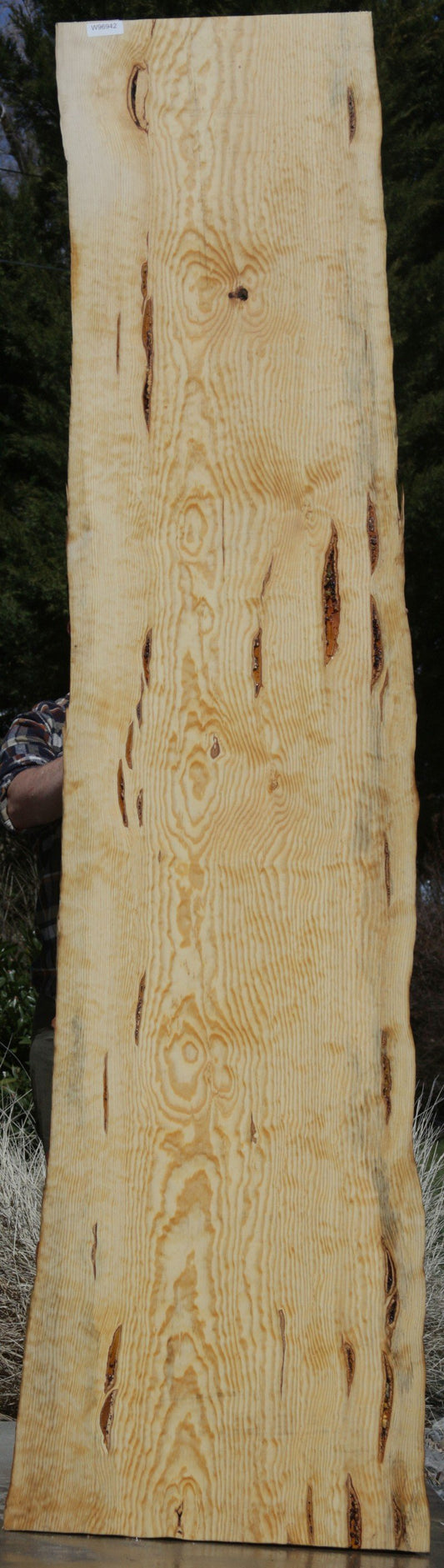 Rustic Ponderosa Pine Slab