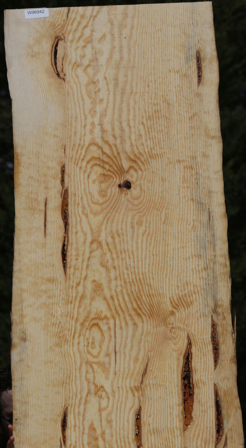 Rustic Ponderosa Pine Slab